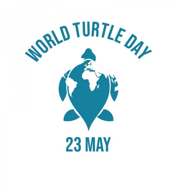 World Turtle Day 23 May