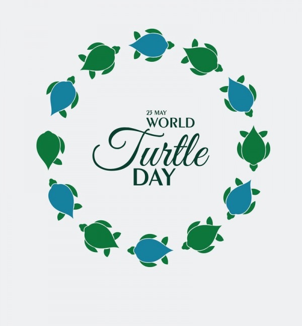 23 May World Turtle Day