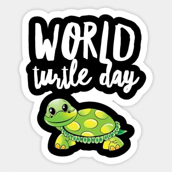 World Turtle Day Photo