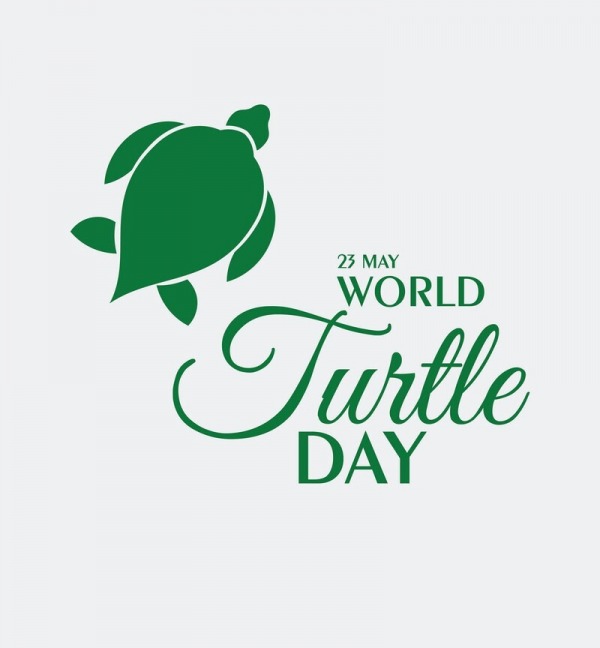 Wish You Happy World Turtle Day