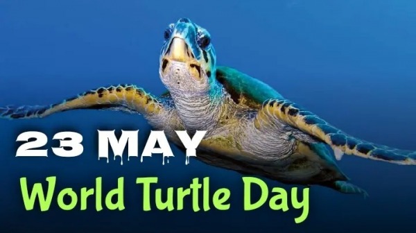 23 May World Turtle Day