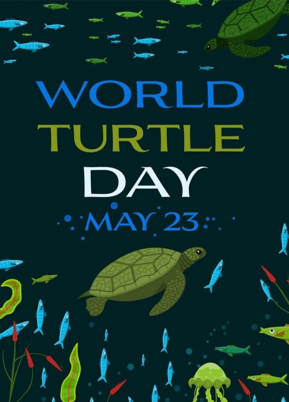 World Turtle Day 23 May