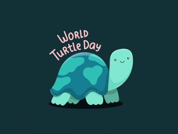 World Turtle Day