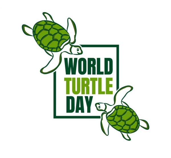 Happy World Turtle Day