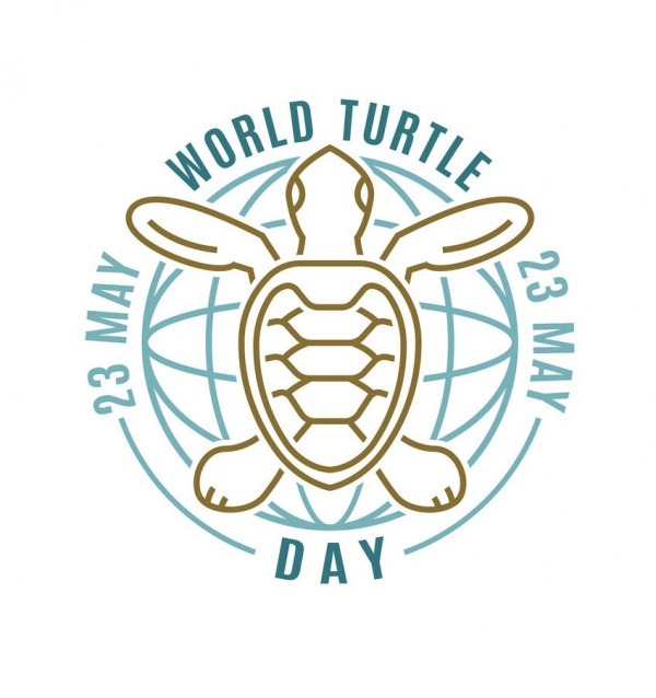 World Turtle Day Picture