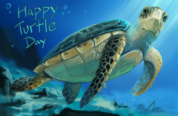 Turtle Day Wish For You