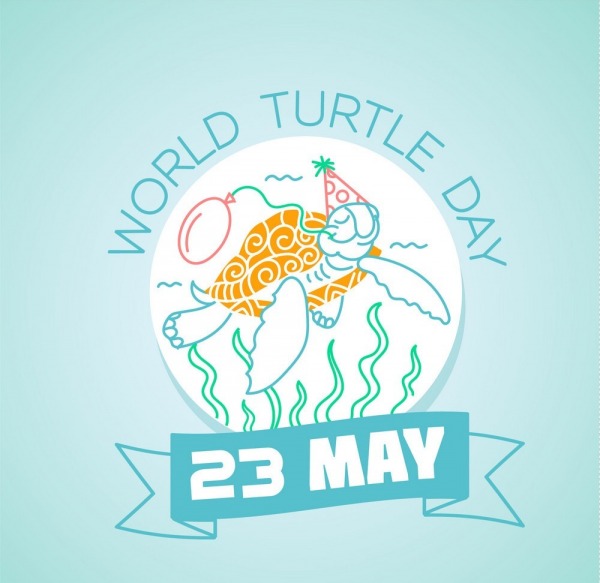 World Turtle Day, 23 May