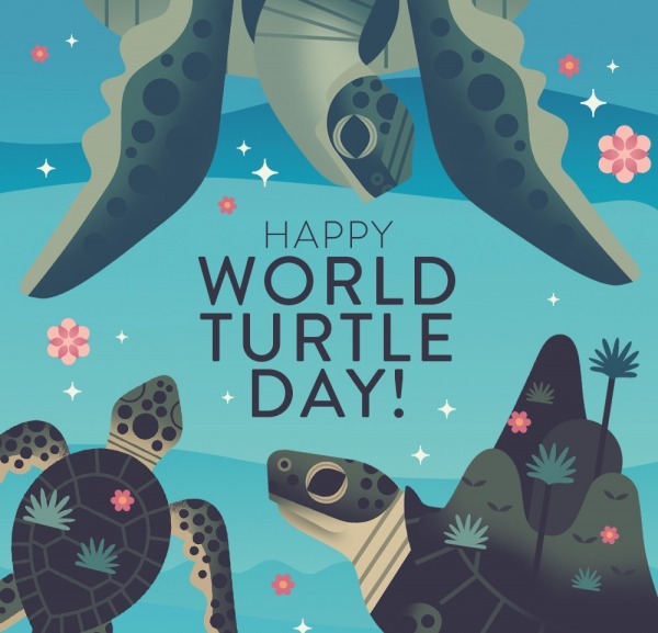 Wish You A Very Happy World Turtle Day