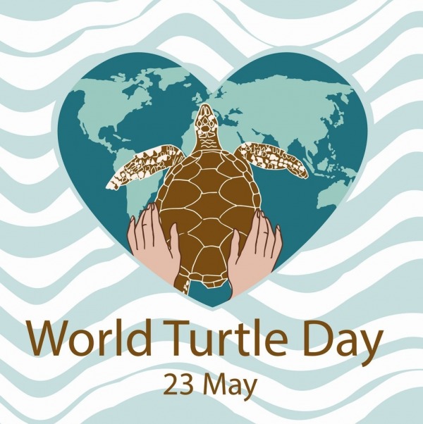 23 May, World Turtle Day
