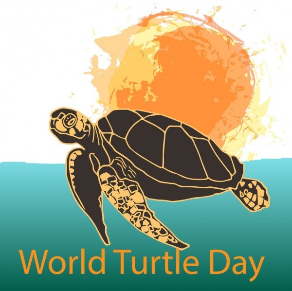 World Turtle Day