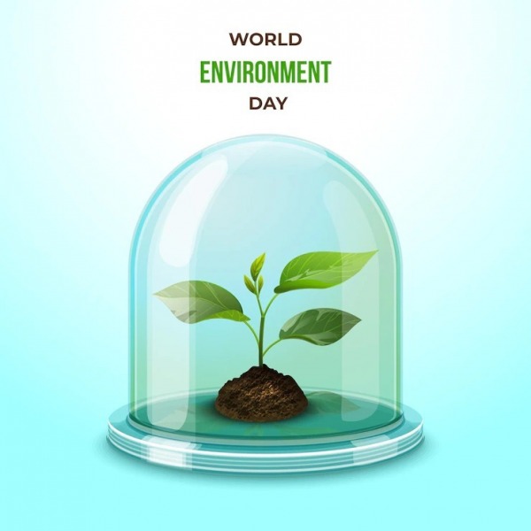 World Environment Day Pic