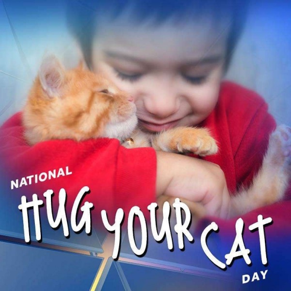 National Hug Your Cat Day