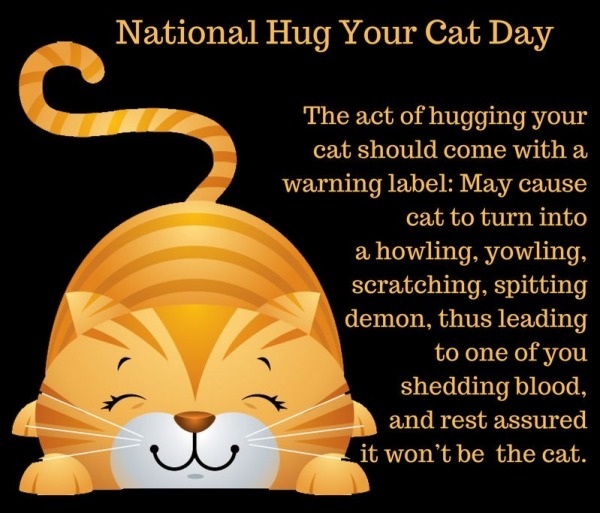 Happy National Hug Your Cat Day