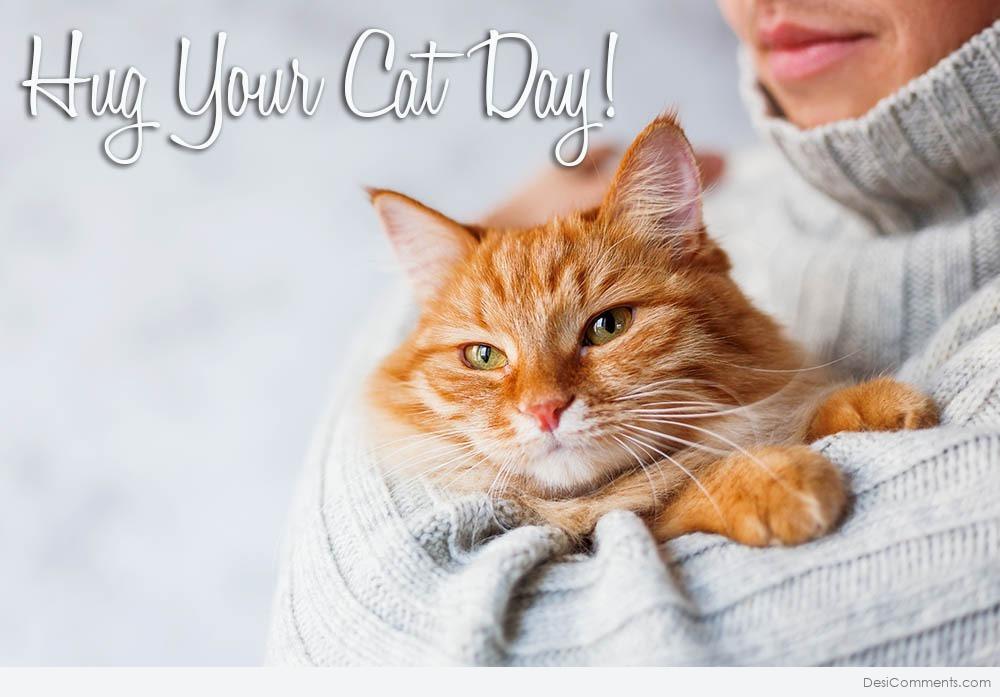 Celebrate Hug Your Cat Day