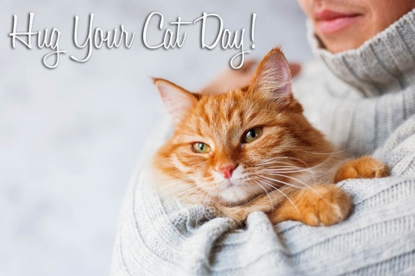 Celebrate Hug Your Cat Day
