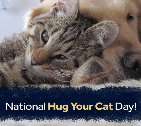 National Hug Your Cat Day!