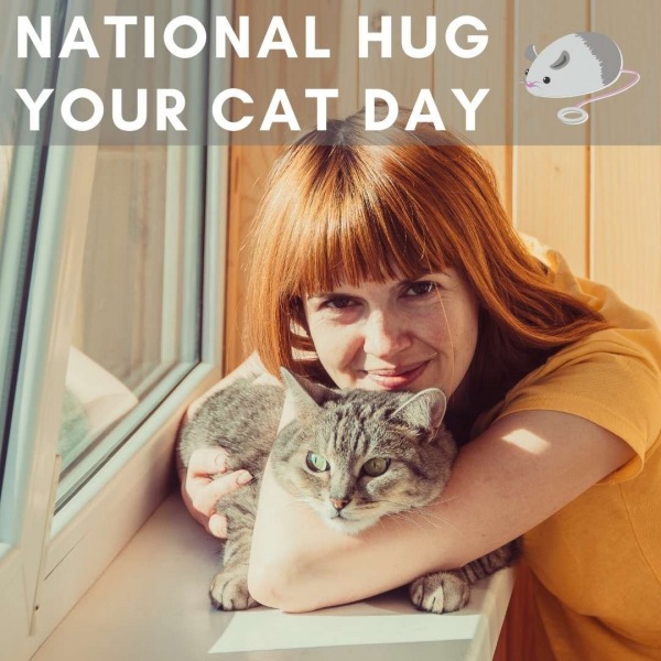Best Photo For National Hug Your Cat Day