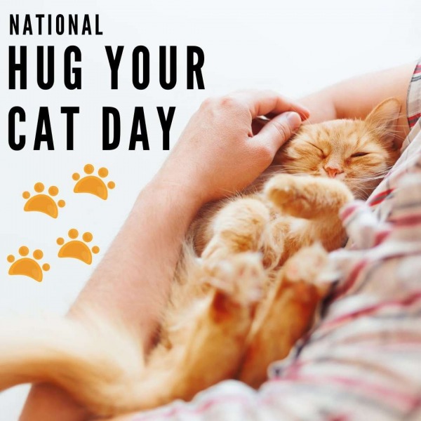 Happiest National Hug Your Cat Day