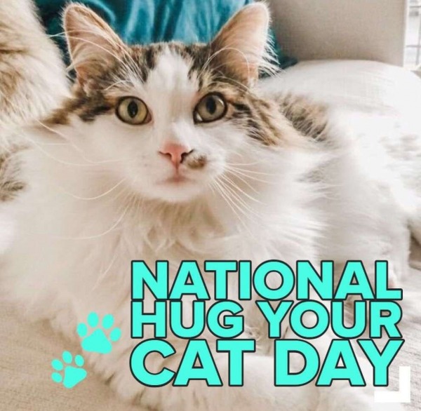 Happy National Hug Your Cat Day