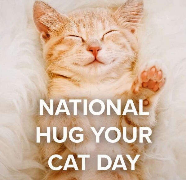 Happy Hug Your Cat Day