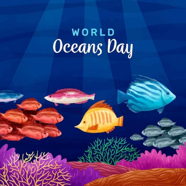 Beautiful Image World Oceans Day