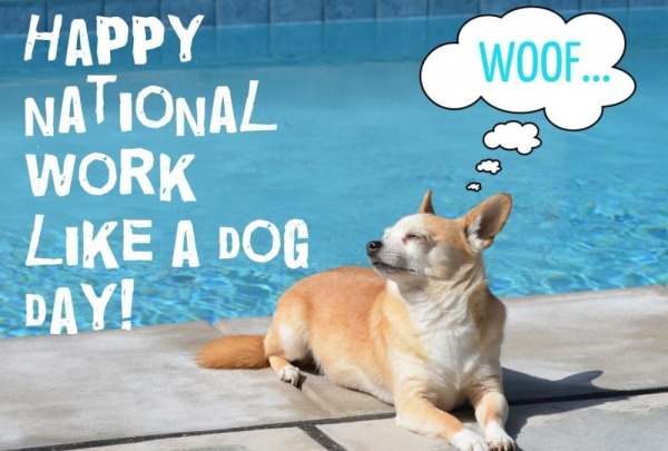 Happy National Work Like a Dog Day