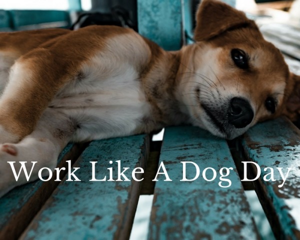 Work Like a Dog Day