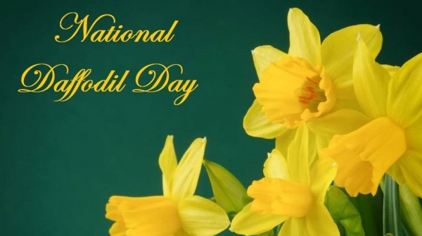 National Daffodil Day