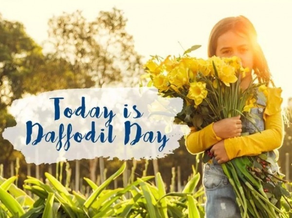 Today Is Daffodil Day