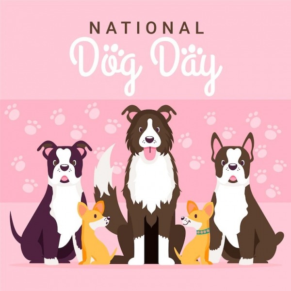 Adorable Image For Dog Day
