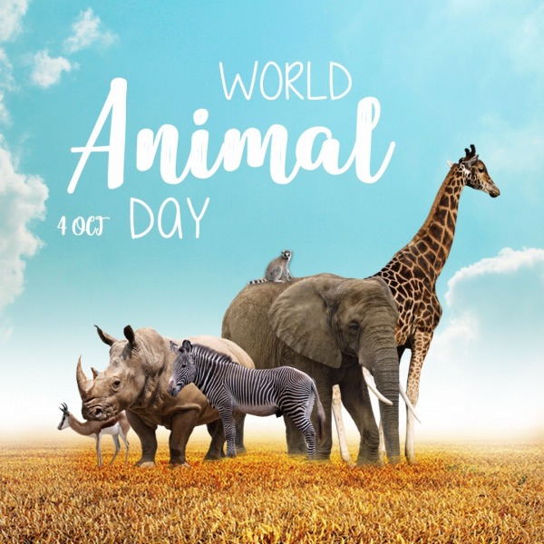 World Animal Day, 4th Oct