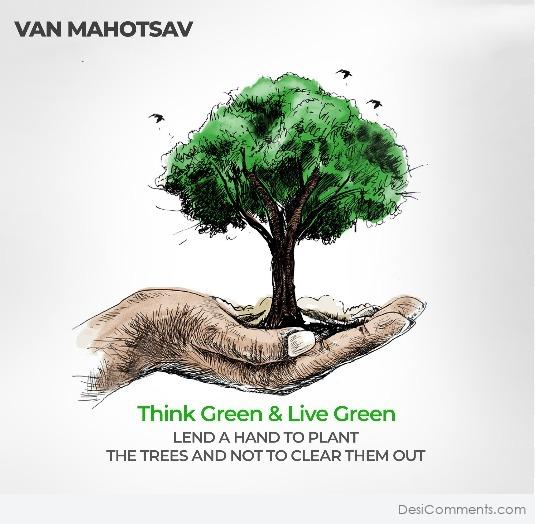 Van Mahotsav Drawing Very Easy  Save Trees Save Nature Drawing  YouTube