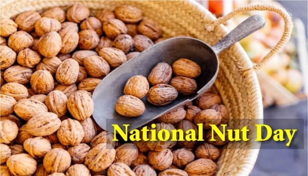 National Nut Day Pic