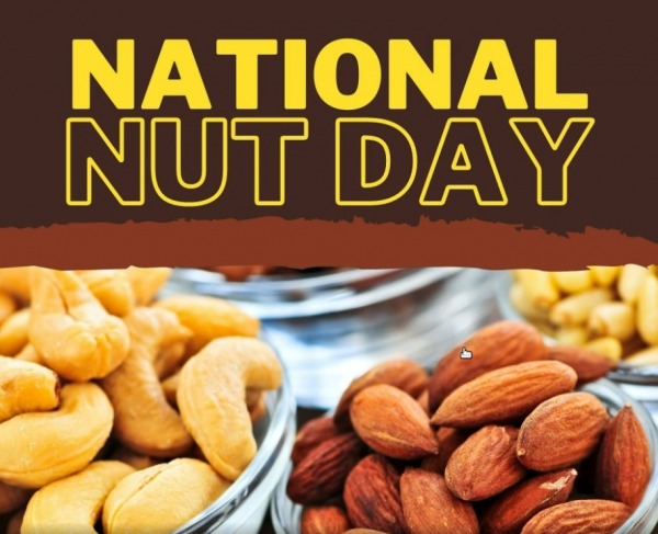 Best Image For National Nut Day