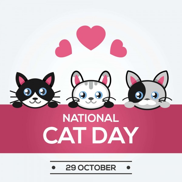 National Cat Day, 29 Oct