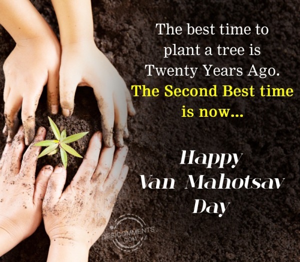 The Best Time To Plant A Tree