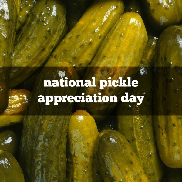 National Pickle Appreciation Day