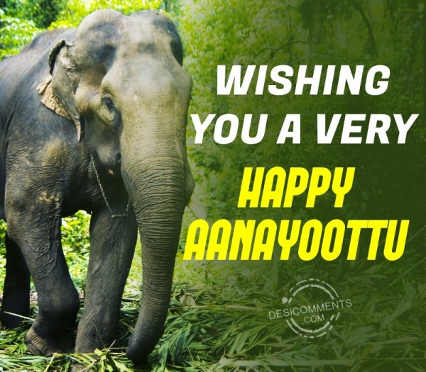 Wishing You A Very Happy Aanayoottu