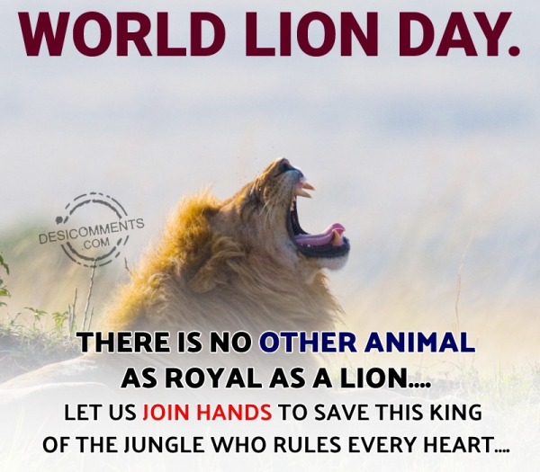 There Is No Other Animal As Royal