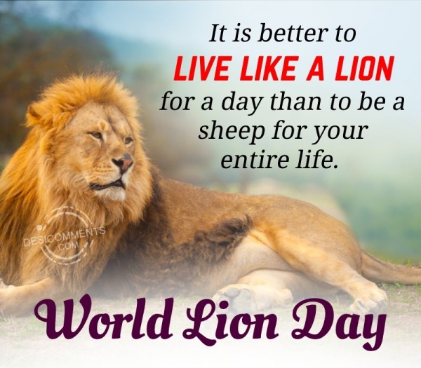 It Is Better To Live Like A Lion