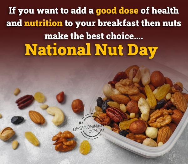 National Nut day Photo