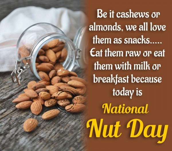 Today Is National Nut day