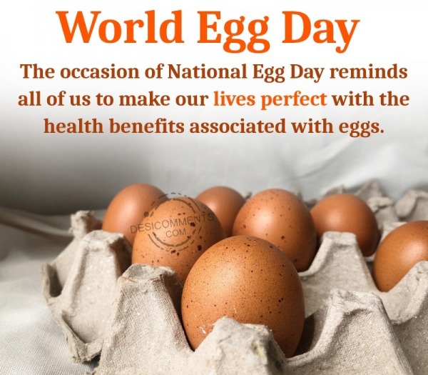 The Occasion Of National Egg Day