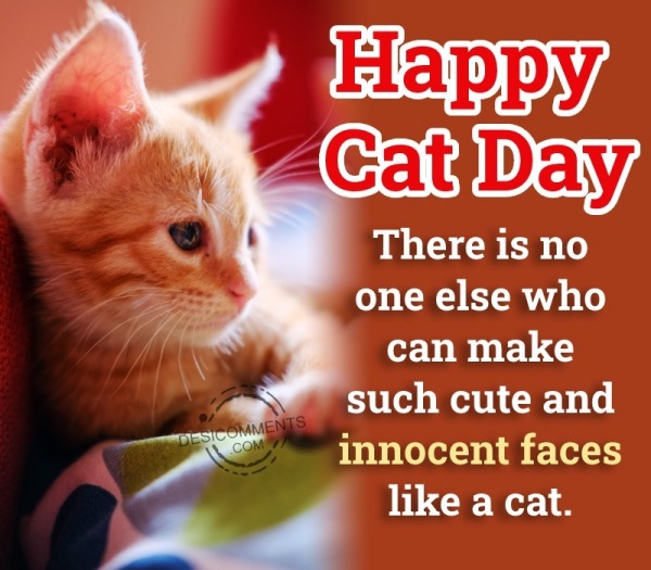 Happy Cat Day Pic