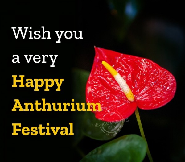 Happy Anthurium Festival
