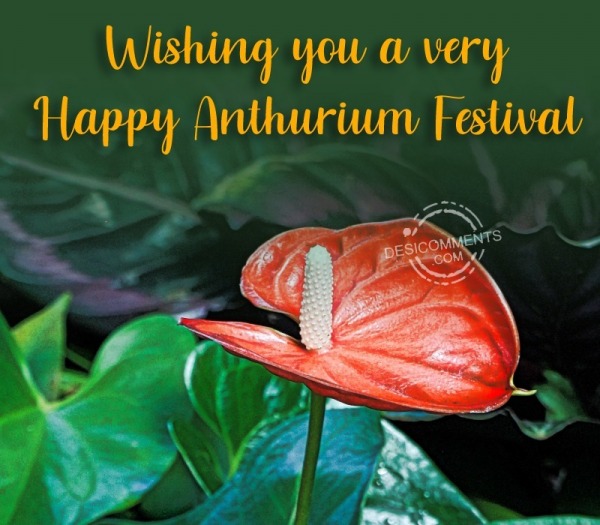 Wishing You A Very Happy Anthurium Festival