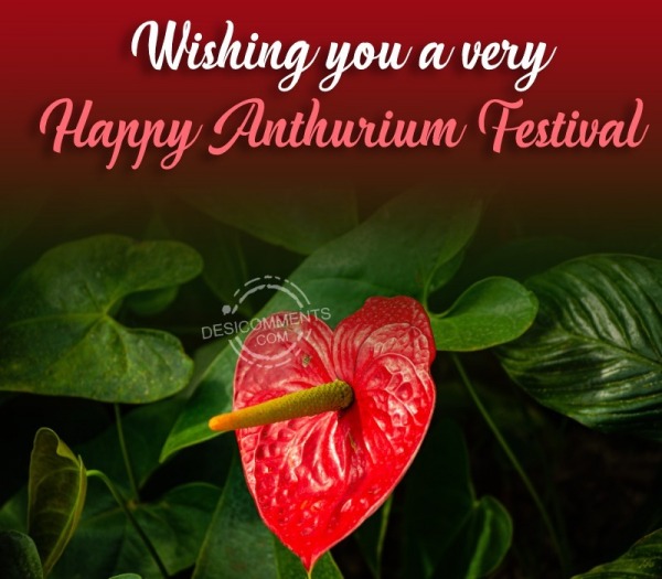 Wishing You A Very Happy Anthurium