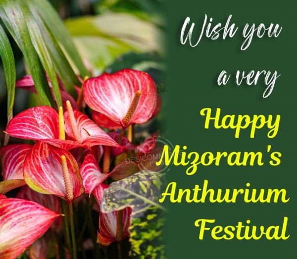 Wish You A Very Happy Mizoram’s Anthurium Festival