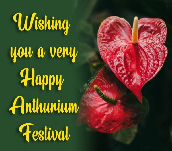 Wishing You A Very Happy Anthurium Festival
