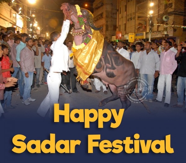 Happy Sadar Festival Pic